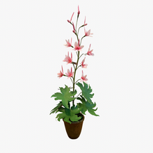 Load image into Gallery viewer, The Green Vase larkspur